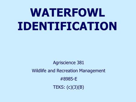 WATERFOWL IDENTIFICATION