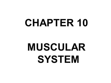 CHAPTER 10 MUSCULAR SYSTEM.