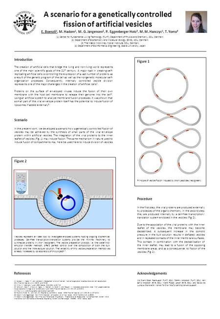 A scenario for a genetically controlled fission of artificial vesicles E. Boenzli 1, M. Hadorn 1, M. G. Jørgensen 2, P. Eggenberger Hotz 3, M. M. Hanczyc.