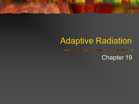 Adaptive Radiation Chapter 19. Ecological Niche The role an organism plays within a community Includes feeding, habitat, competitors, enemies etc Darwin’s.