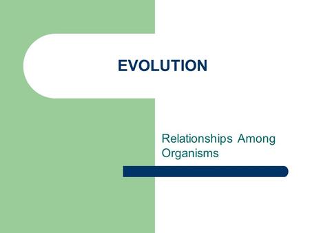 EVOLUTION Relationships Among Organisms. Similarities Among Organisms All organisms on Earth are related Some relationships are easier to see than others.