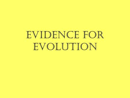 Evidence for Evolution. Evolution Evidence for Evolution 1.Fossil evidence –petrified or preserved specimen in things like: ice, amber, sand, clay some.