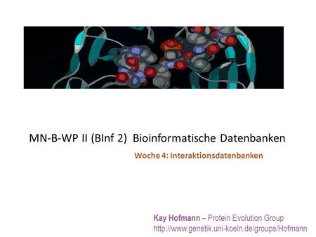 MN-B-WP II (BInf 2) Bioinformatische Datenbanken Kay Hofmann – Protein Evolution Group  Woche 4: Interaktionsdatenbanken.