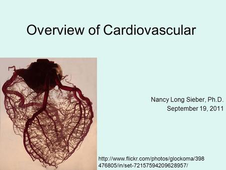 Overview of Cardiovascular Nancy Long Sieber, Ph.D. September 19, 2011  476805/in/set-72157594209628957/