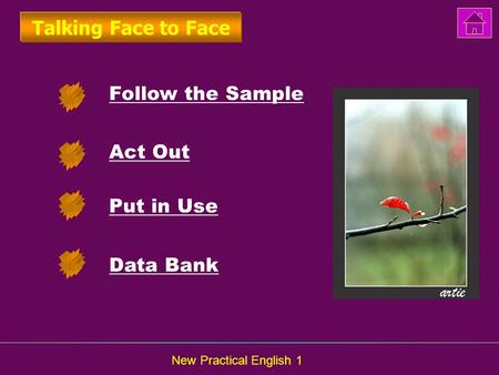 New Practical English 1 Follow the Sample Act Out Put in Use Talking Face to Face Data Bank.