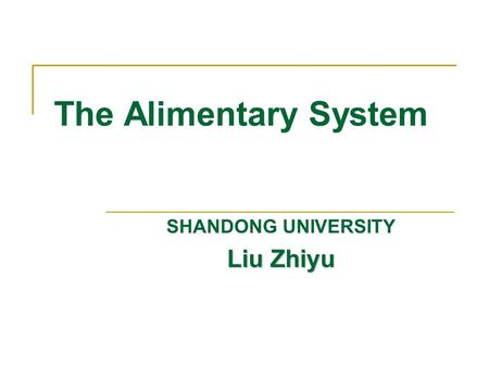 The Alimentary System SHANDONG UNIVERSITY Liu Zhiyu.