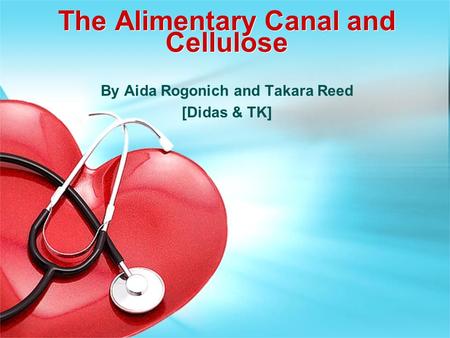 The Alimentary Canal and Cellulose By Aida Rogonich and Takara Reed [Didas & TK]