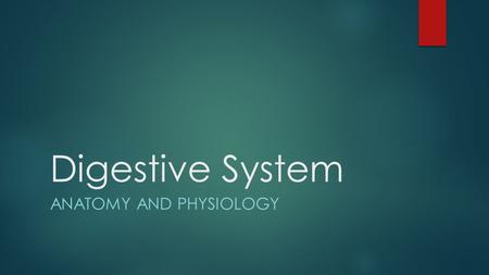 Digestive System ANATOMY AND PHYSIOLOGY. Function  The digestive system is the first organ system to develop in animals.  This system allows animals.