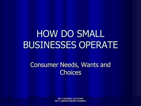 NAT 4 BUSINESS IN ACTION NAT 5 UNDERSTANDING BUSINESS HOW DO SMALL BUSINESSES OPERATE Consumer Needs, Wants and Choices.