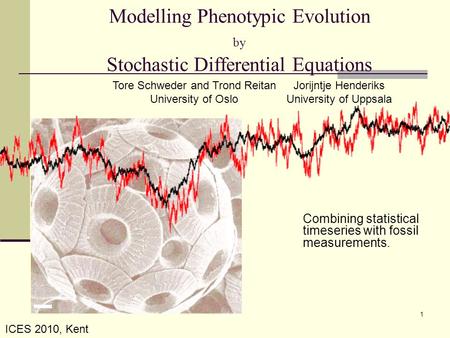 Modelling Phenotypic Evolution by Stochastic Differential Equations Combining statistical timeseries with fossil measurements. Tore Schweder and Trond.