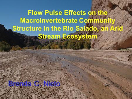 Brenda C. Nieto Flow Pulse Effects on the Macroinvertebrate Community Structure in the Rio Salado, an Arid Stream Ecosystem.