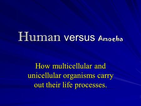 Human versus Amoeba How multicellular and unicellular organisms carry out their life processes.