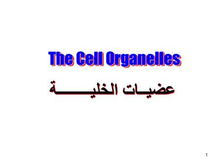 1 The Cell Organelles عضيــات الخليـــــــــة. 2 The nucleus contains most of the genes in an eukaryotic cell.The nucleus contains most of the genes in.