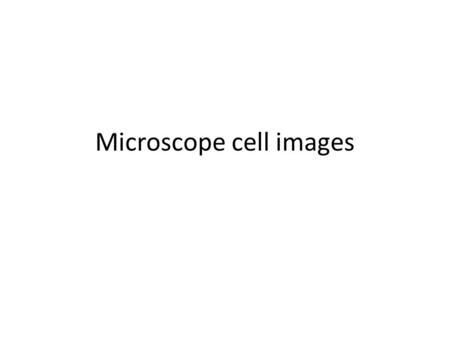 Microscope cell images. Animal cells All living things are made up of one or more cells. Cells are the basic units of structure and function in organisms.