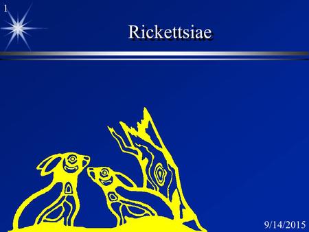 Rickettsiae.