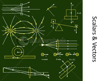 Scalars & Vectors Tug of War Treasure Hunt Scalars Completely described by its magnitude Direction does not apply at all e.g. Mass, Time, Distance,