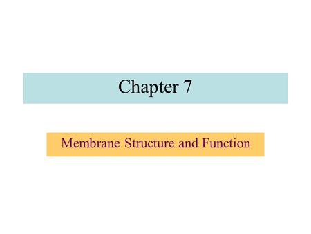 Membrane Structure and Function