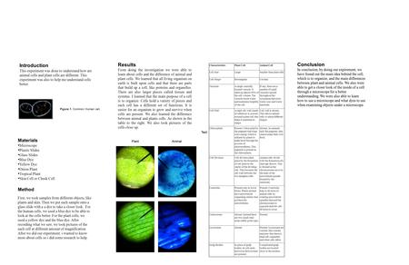 Introduction This experiment was done to understand how are animal cells and plant cells are different. This experiment was also to help me understand.