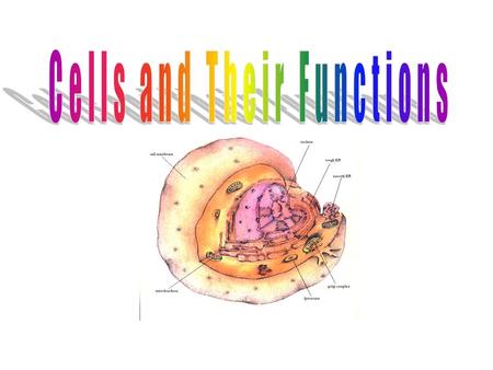 Cells and Their Functions