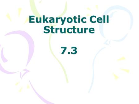 Eukaryotic Cell Structure 7.3 Human Cell Nucleus Nuclear Envelope- double membrane that surrounds the nucleus nuclear pores - regulates what enters.