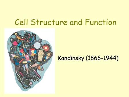 Cell Structure and Function