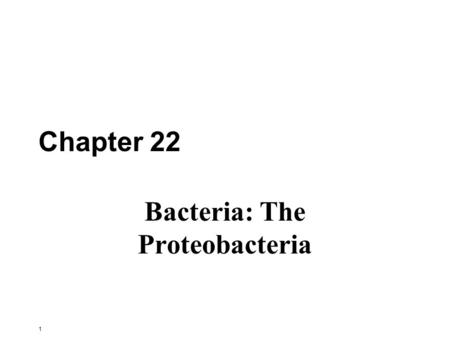 1 Chapter 22 Bacteria: The Proteobacteria. 2 The phylum Proteobacteria The largest phylogenetically coherent bacterial group with over 2,000 species assigned.