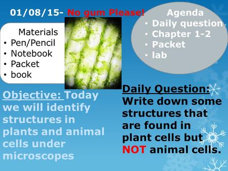 01/08/15- No gum Please! Agenda Daily question Chapter 1-2 Packet lab