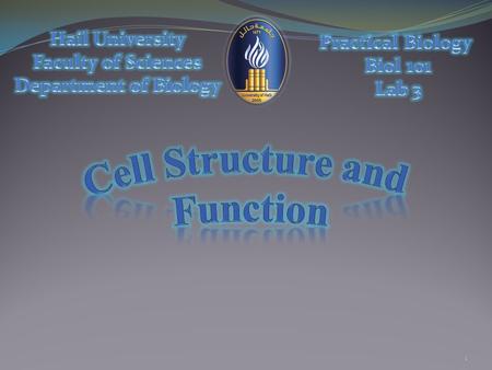 Cell Structure and Function