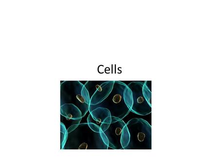 Cells. Intro Our understanding of cells as the fundamental unit of life (for both plants and animals) was revolutionary in the seventieth century and.