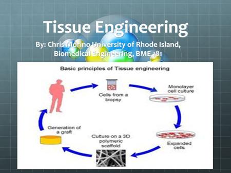 Tissue Engineering By: Chris Morino University of Rhode Island, Biomedical Engineering, BME 181.