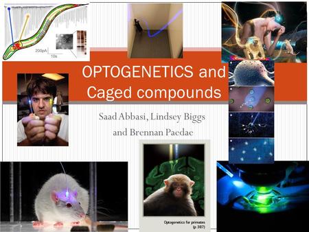 OPTOGENETICS and Caged compounds