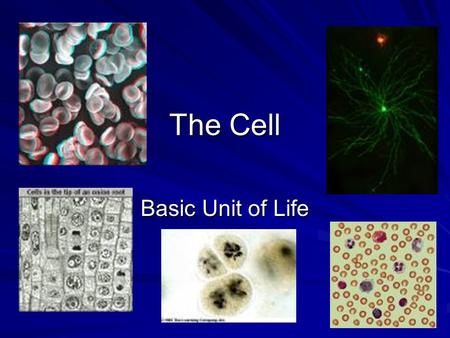 The Cell Basic Unit of Life. The Cell I. Introduction to the cell The concept that all living material is made of cells or chemical products of cells.