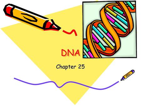 DNADNA Chapter 25 Discovery of DNA Function A. Discovery of DNA 1. first isolated from cells in 1868 2. unknown function B. Griffith Experiments (1928)