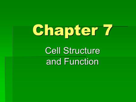 Cell Structure and Function