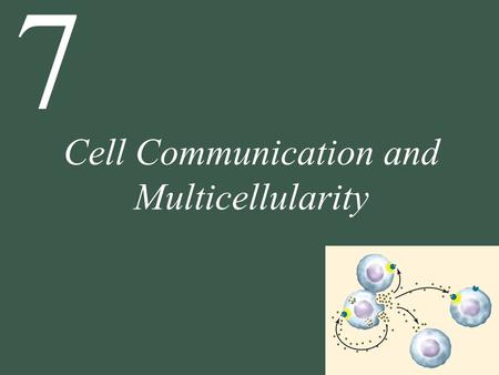 Cell Communication and Multicellularity