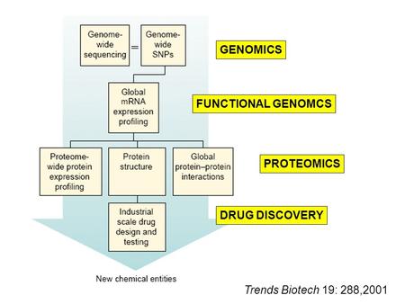 GENOMICS FUNCTIONAL GENOMCS PROTEOMICS DRUG DISCOVERY