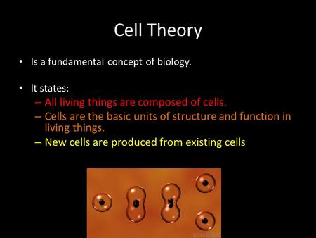 Cell Theory All living things are composed of cells.