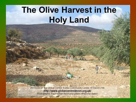 The Olive Harvest in the Holy Land Produced at the Global Centre, Exeter Community Centre, St David’s Hill  Photographs: