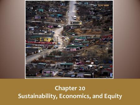 Chapter 20 Sustainability, Economics, and Equity