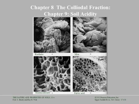 ©2002 Pearson Education, Inc. Upper Saddle River, New Jersey 07458 THE NATURE AND PROPERTIES OF SOILS, 13/e Nyle C. Brady and Ray R. Weil Chapter 8 The.