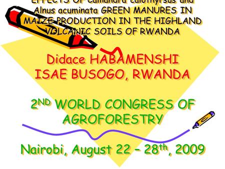 EFFECTS OF Calliandra calothyrsus and Alnus acuminata GREEN MANURES IN MAIZE PRODUCTION IN THE HIGHLAND VOLCANIC SOILS OF RWANDA Didace HABAMENSHI ISAE.