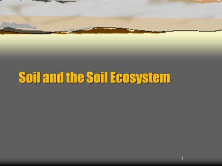 Soil and the Soil Ecosystem