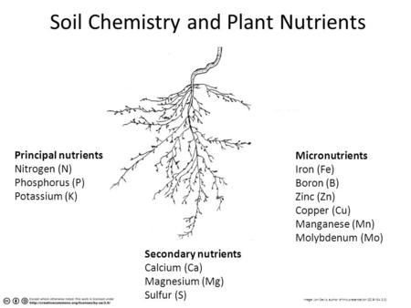 Micronutrients Iron (Fe) Boron (B) Zinc (Zn) Copper (Cu) Manganese (Mn) Molybdenum (Mo) Principal nutrients Nitrogen (N) Phosphorus (P) Potassium (K) Secondary.