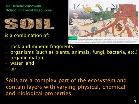 Is a combination of: rock and mineral fragments organisms (such as plants, animals, fungi, bacteria, etc.) organic matter water and air Soils are a complex.