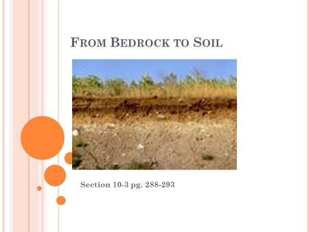 F ROM B EDROCK TO S OIL Section 10-3 pg. 288-293.