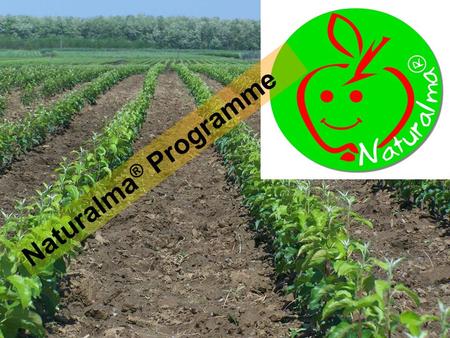 Naturalma ® Programme. Naturalma ® Programme – Report Naturalma ® ? – Solution for ‘a’ problem Problem  Shallow use of varieties  Several competitors.