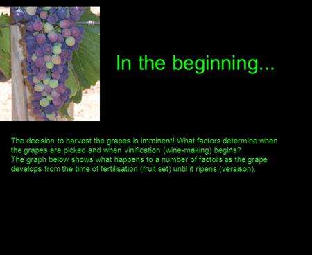 The decision to harvest the grapes is imminent! What factors determine when the grapes are picked and when vinification (wine-making) begins? The graph.