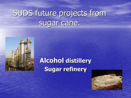 SUDS future projects from sugar cane. Alcohol distillery Sugar refinery.