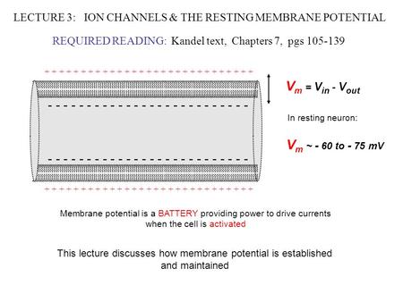 LECTURE 3: ION CHANNELS & THE RESTING MEMBRANE POTENTIAL REQUIRED READING: Kandel text, Chapters 7, pgs 105-139 - - - - - - - - - - - - - + + + + + + +