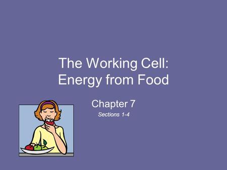 The Working Cell: Energy from Food